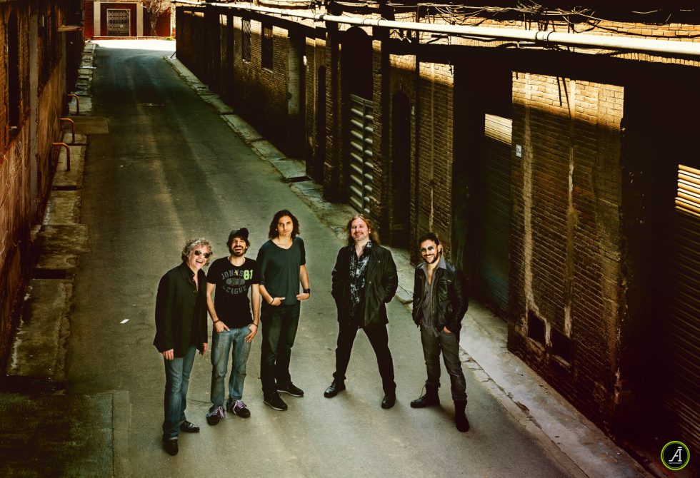 Beagle Bcn (2015) 07