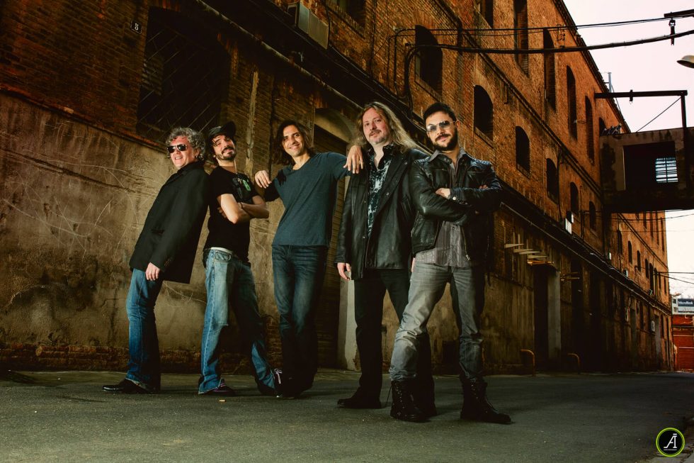 Beagle Bcn (2015) 12